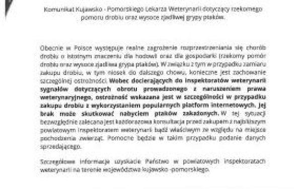 Informacja od Kujawska-Pomorskiego Lekarza Weterynarii w Bydgoszczy