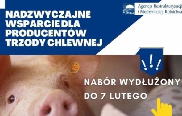 Pomoc z PROW dla hodowców świń: czas na składanie wniosków wydłużony do 7 lutego