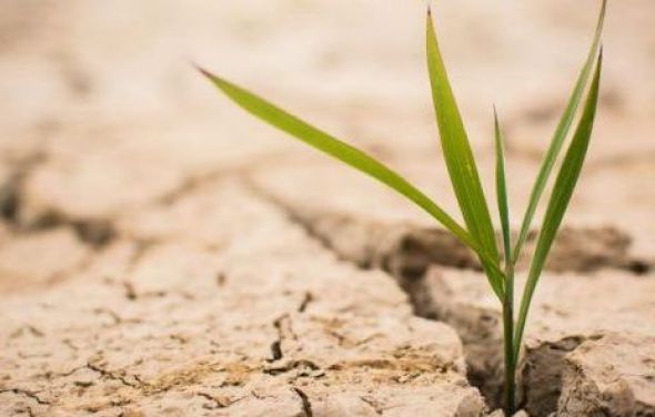 Projekt "Rolnictwo dla klimatu"