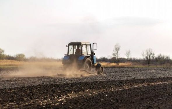 Wykaz nieruchomości przeznaczonych do dzierżawy 20.08.2020 r.
