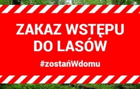 Zakaz wstępu do lasu
