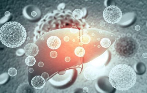 Program „Profilaktyka WZW B i C w województwie kujawsko-pomorskim” 