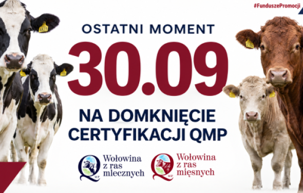 Certyfikat QMP — termin uzyskania upływa 30 września 2026 r.